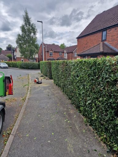 Conifer reduction and shaping, hedge cutting, hedge maintenance, and hedge planting. Tree felling, dead wooding, pollarding, tree pruning.