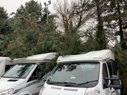 Emergency tree work, storm damage response, site clearance, tree felling, dead wooding, pollarding, pruning, crown thinning, reduction.