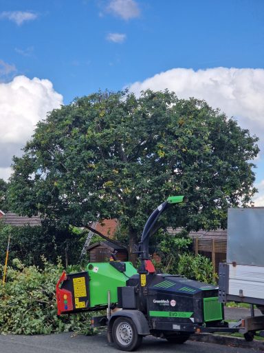 Tree felling, dead wooding, pollarding, tree pruning, crown thinning/reduction, canopy lifting, conifer reduction, shaping and planting.