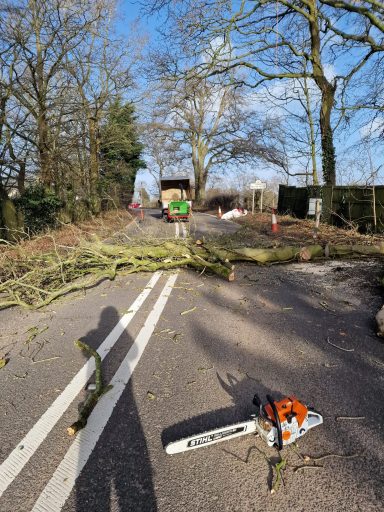 Emergency tree work, storm damage response, site clearance, tree felling, dead wooding, pollarding, pruning, crown thinning, reduction.