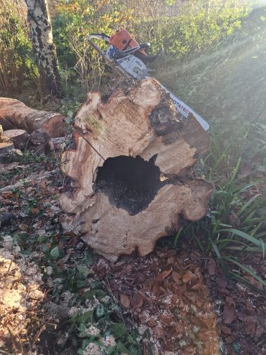 Site clearance and land preparation, emergency tree work and storm damage response.