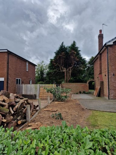 Hedge cutting, hedge maintenance, hedge planting, conifer reduction and shaping. Tree felling, dead wooding and pollarding.