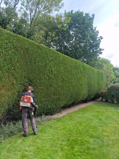 Conifer reduction and shaping, hedge cutting, hedge maintenance, and hedge planting. Tree felling, dead wooding, pollarding, tree pruning.
